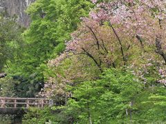 -南溪山景区
