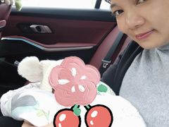 -天鹅到家·保姆月嫂育儿嫂(天河店)