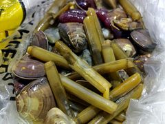 -红树林天天赶海