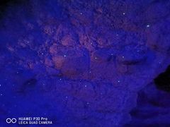 -怀托摩萤火虫洞