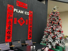 -PLAN CO