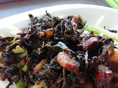 -中国农业大学·第四食堂风味餐厅