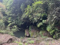 -碧峰峡风景区