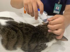 -佳雯宠物医院(四明中路分院)