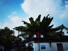 -苏州冶园园林民宿(太湖西山风景区店)