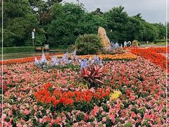 -长春市南湖公园