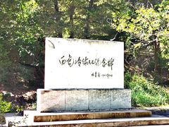 -白水寺森林公园