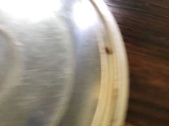 -番禺大岗仙庙烧鸡(芳村店)