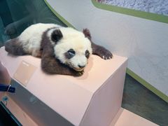 -深圳博物馆历史民俗馆