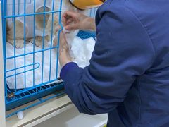 -萌兽医馆·宠物医院·猫骨科(创景店)