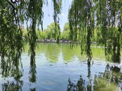 -翠湖公园