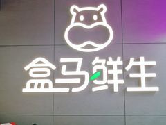 门面-盒马鲜生(龙德广场店)