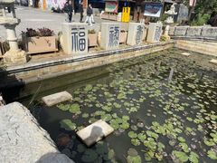-云南民族村