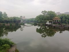 -雨湖公园