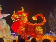 -自贡恐龙博物馆