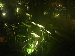 -柏联酒店