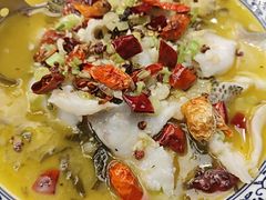 -麒麟中餐厅·经典粤菜·地道菜式老字号(广州长隆酒店)