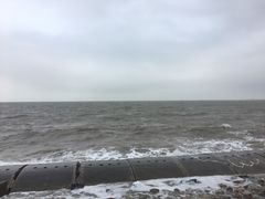 -东疆建设开发纪念公园