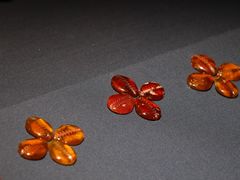 -南京博物院