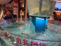 -魏铭鱼头捞饭(晋阳路店)