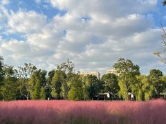 -昆山城市生态森林公园