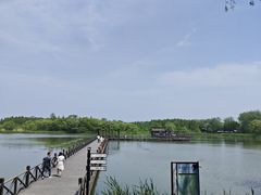 -溱湖国家湿地公园