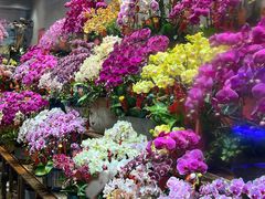 -双季花艺园艺市场(浦东店)