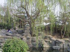 -西安青龙寺遗址景区