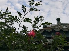 -纪念孙中山市政公园