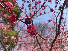 -白塘生态植物园