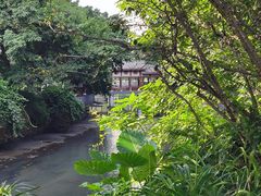 -乐山鲜知味钵钵鸡(奎星楼店)