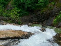 -广州白江湖森林公园