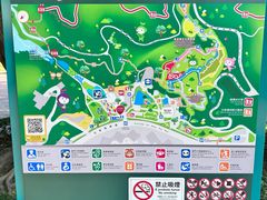-石排湾郊野公园