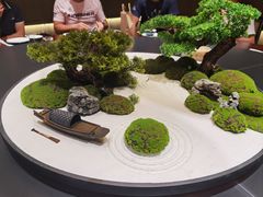 -阿露佳·舌尖上的安吉菜