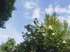 -苏州上方山国家森林公园