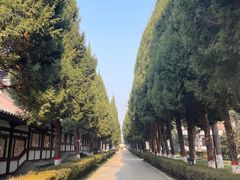 -法门文化景区-合十舍利塔