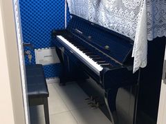 -琴芳艺所艺术培训.古筝钢琴
