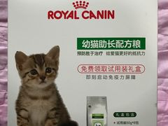 -瑞派长江宠物医院·猫科·外科·24小时夜护(谊城公寓分院)
