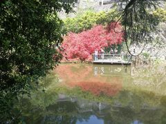 -莫干山风景区
