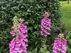 -北京植物园南门售票处