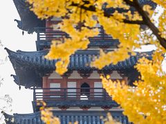 -上海方塔园