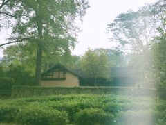 -法云安缦酒店
