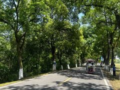 -观潮胜地公园