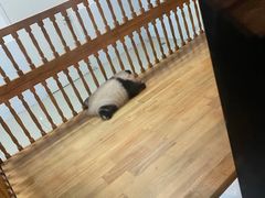 -邓记新一代糖油果子(四川煤管局供销公司职工宿舍店)