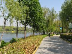 -西安汉城湖景区