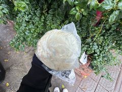 -眼镜粑粑