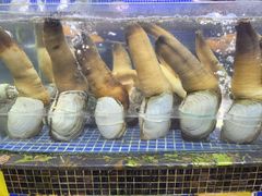-欢乐海岸美食联盟