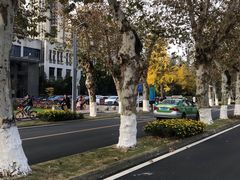 -四川大学(望江校区)
