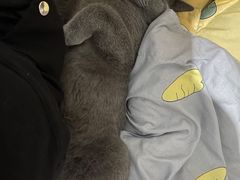 -派特宠物医院(圆融广场店)