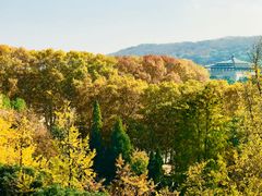 -武汉大学-樱园